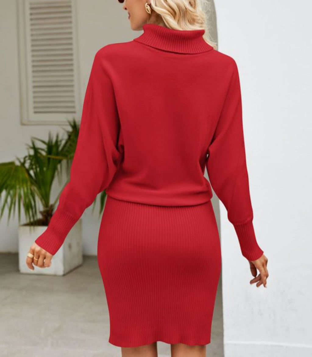 Valenzora | Cozy roll-neck knit dress for winter warmth