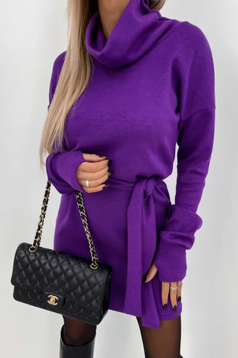 Valenzora | Casual Solid Frenulum Turtleneck One Step Skirt Dresses - 4 Colors