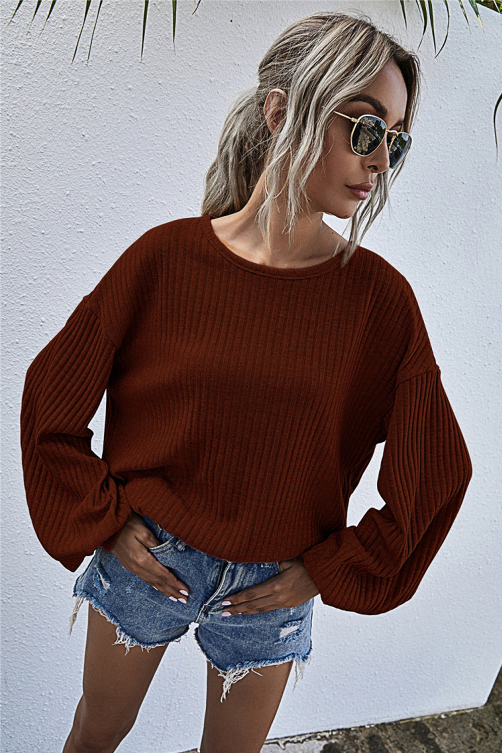 Valenzora Round Neck Lantern Sleeve Casual Knitted Top