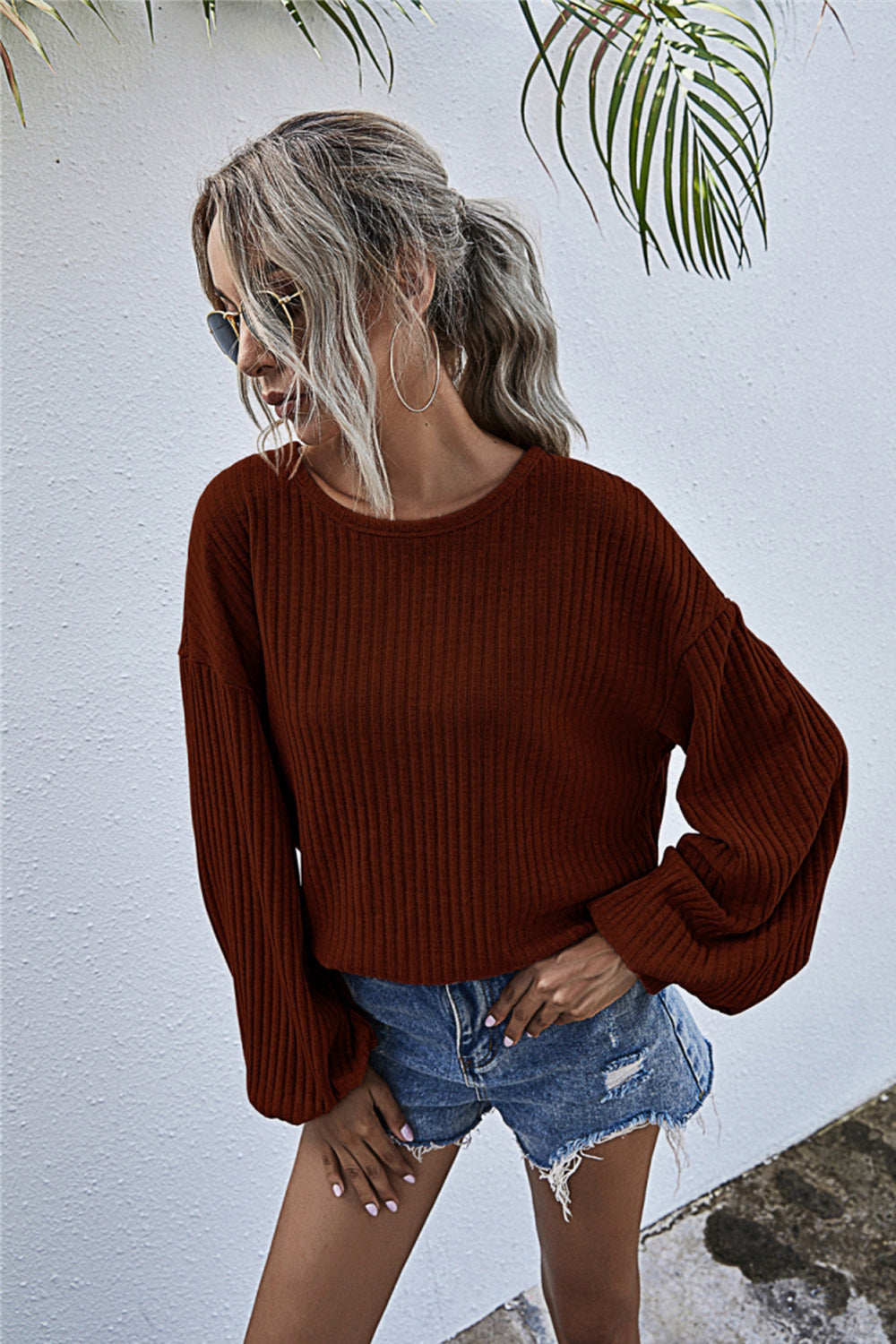 Valenzora Round Neck Lantern Sleeve Casual Knitted Top