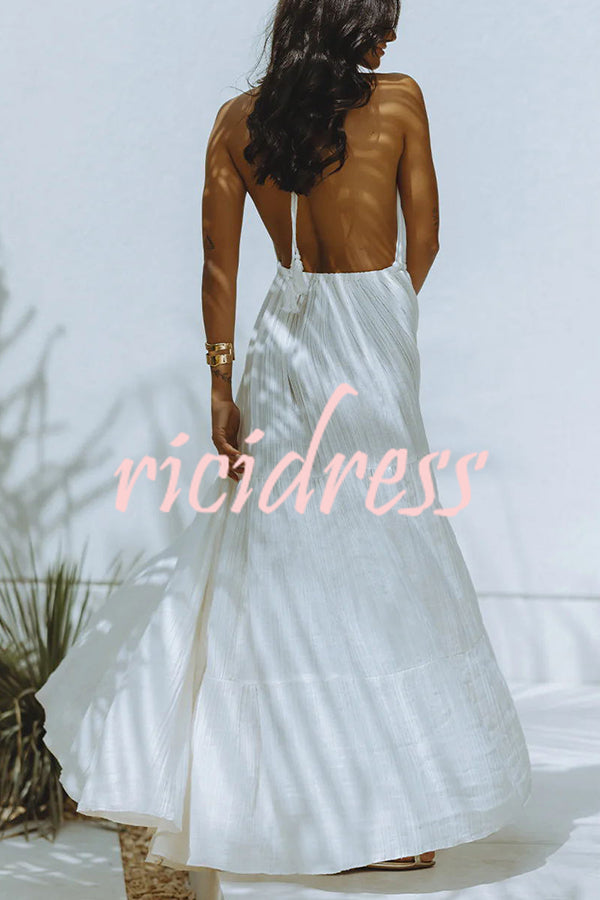 Valenzora – Neckholder maxi dress in a linen blend with a backless slit