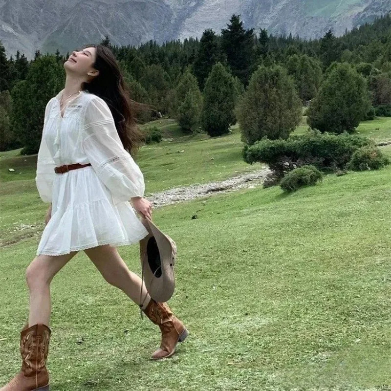 Valenzora | Westernstiefel für Damen mit spitzer Zehenpartie und Blockabsatz, Cowboystiefel für Damen
