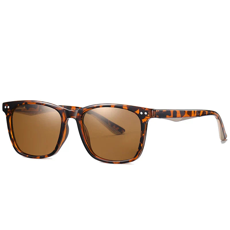 Valenzora | Klassische Sonnenbrille mit transparentem Rahmen