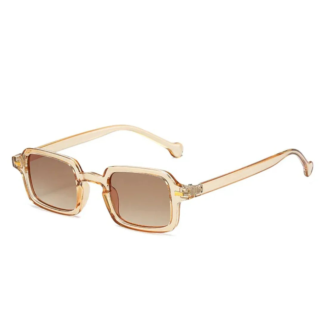 Valenzora Money Glasses - Modern - Decorative Colors